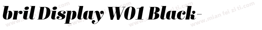 bril Display W01 Black字体转换